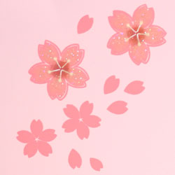 オードブル用お重 舞桜(ピンク)の桜柄